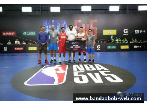 全面解析NBA直播网站的优势与挑战