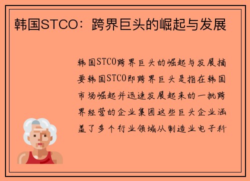 韩国STCO：跨界巨头的崛起与发展