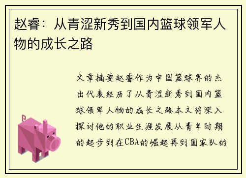 赵睿：从青涩新秀到国内篮球领军人物的成长之路