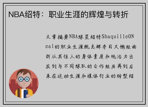 NBA绍特：职业生涯的辉煌与转折