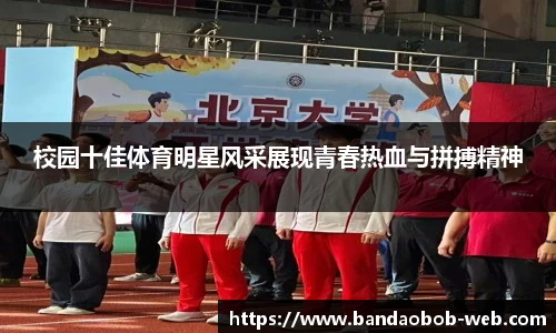 BOB半岛