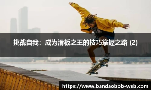 BOB半岛